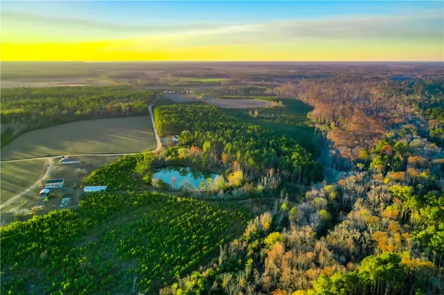 $220,000 | 8802 Good Carter Road, Nicholls, GA 31554