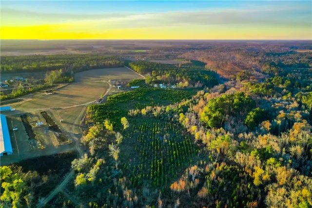 $220,000 | 8802 Good Carter Road, Nicholls, GA 31554