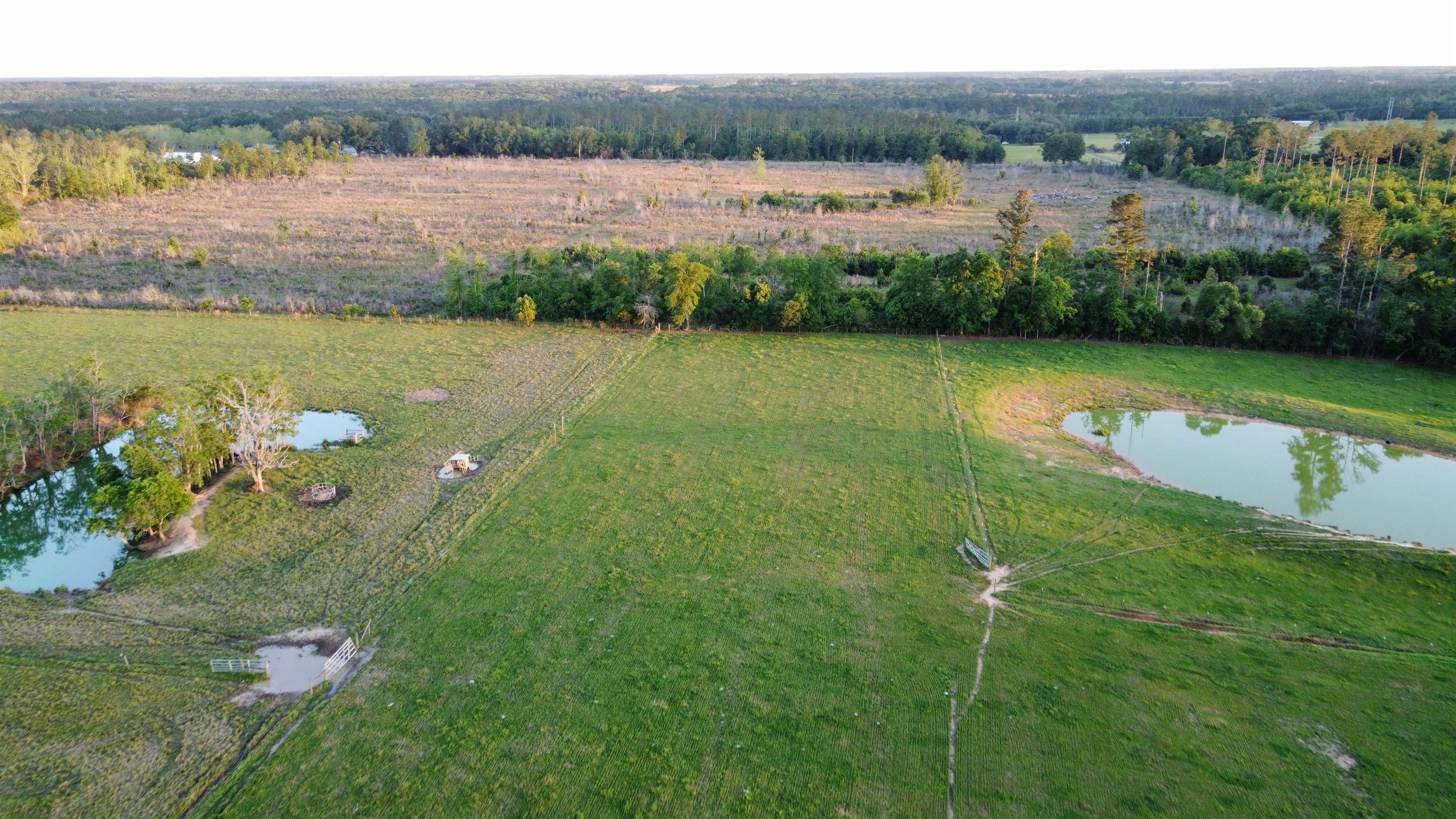 22000 Bengston Road Robertsdale, AL 36567 - Photo 4 of 12
