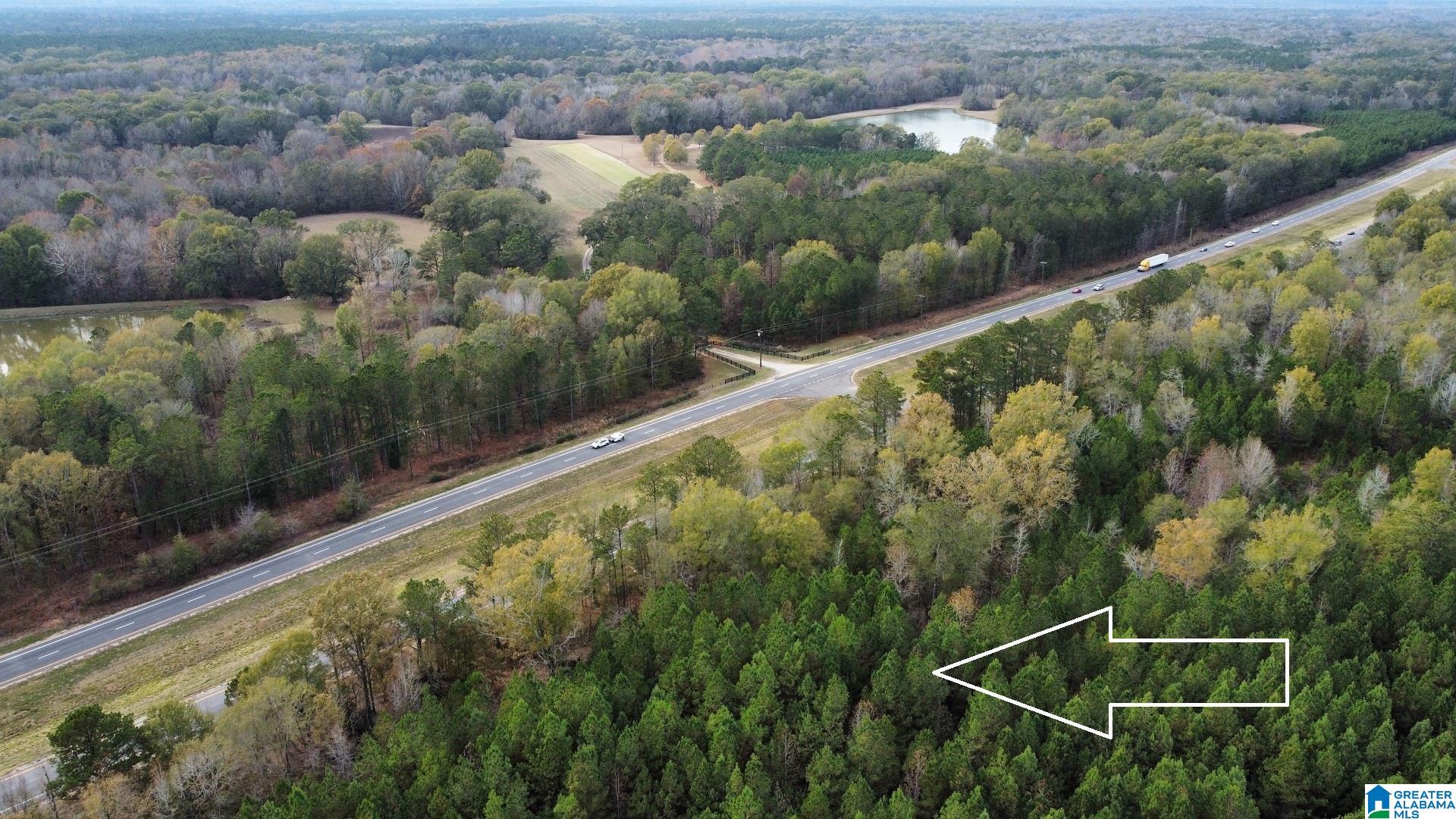 231 Us Highway Mathews, AL 36052 - Photo 4 of 22