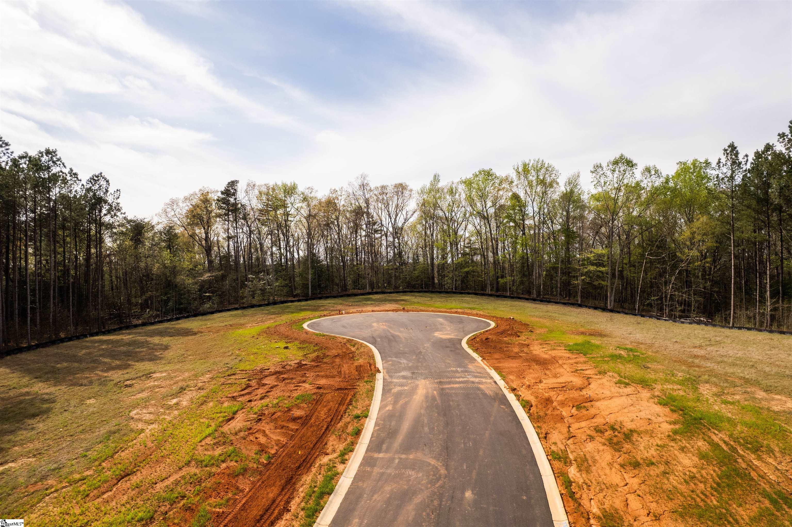 20 Danielsen Way, Unit LOT 8 Greer, SC 29651 - Photo 12 of 13