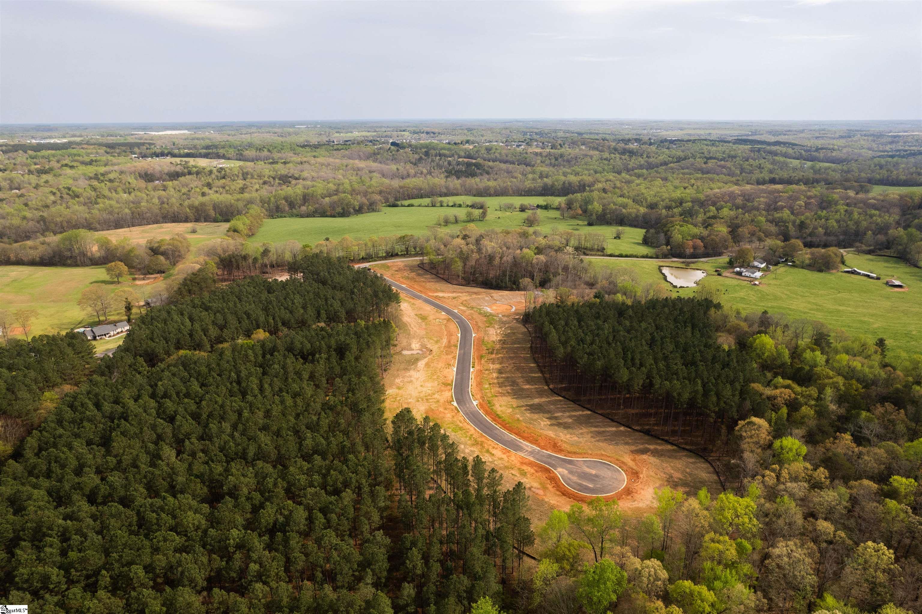 20 Danielsen Way, Unit LOT 8 Greer, SC 29651 - Photo 3 of 13