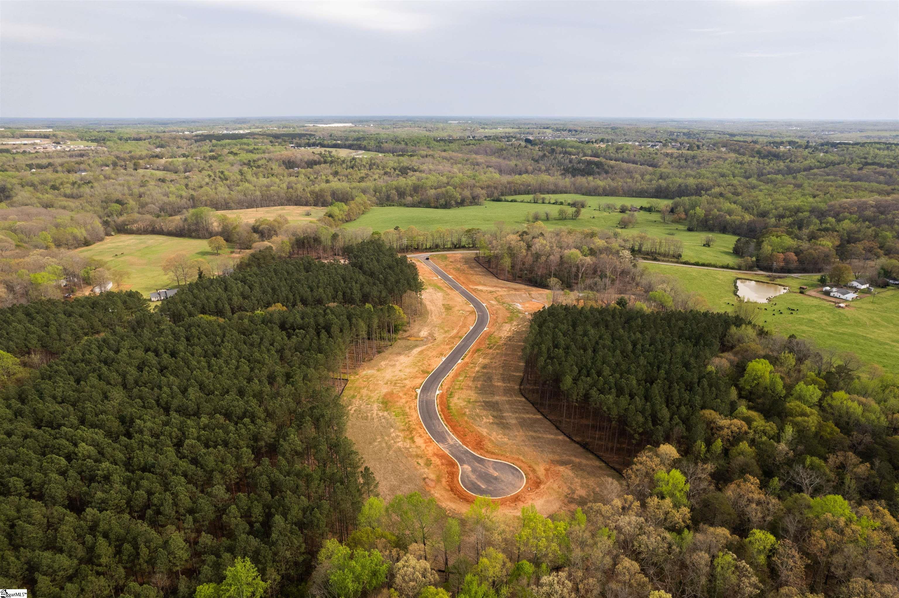 20 Danielsen Way, Unit LOT 8 Greer, SC 29651 - Photo 4 of 13