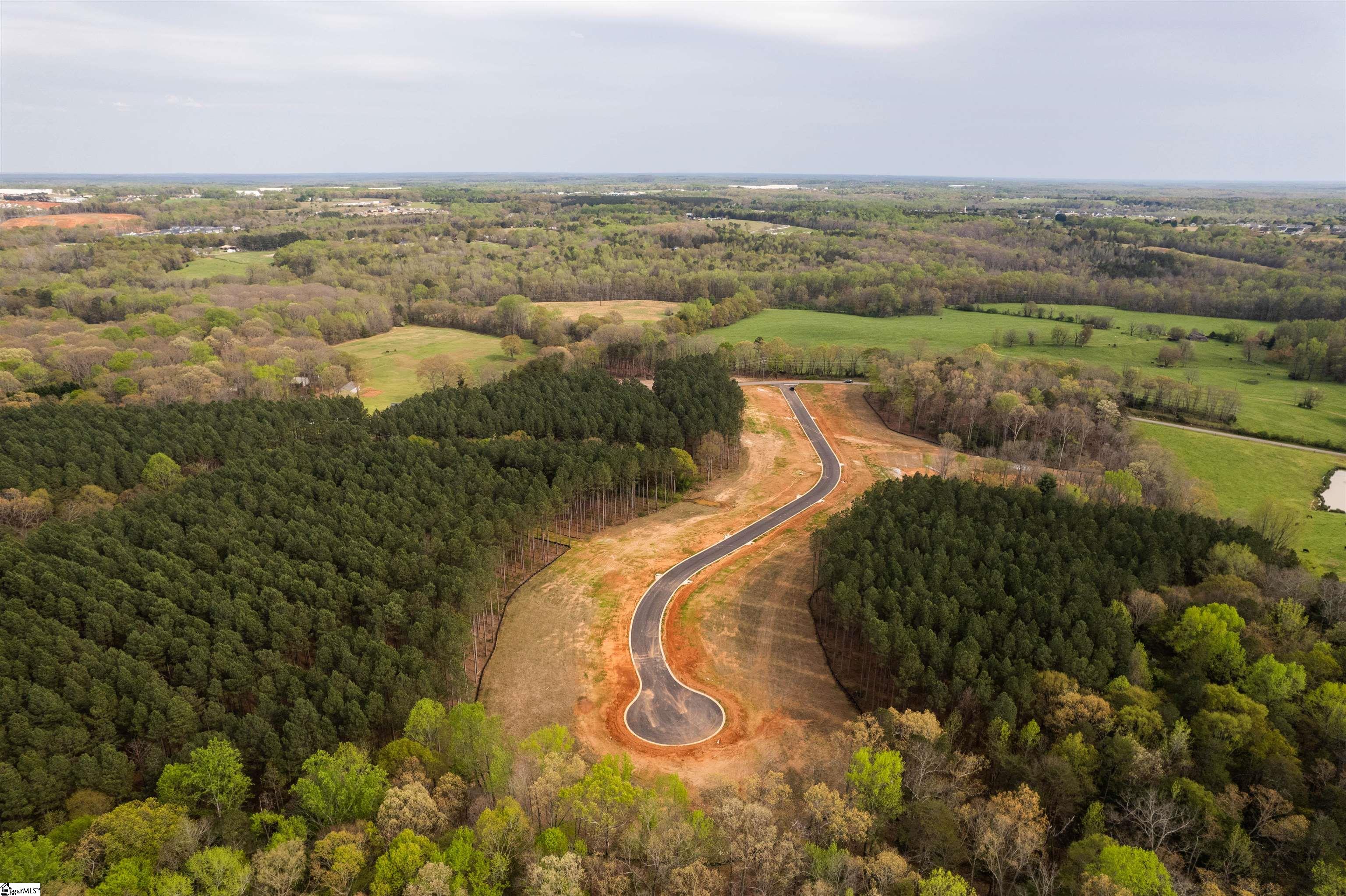 20 Danielsen Way, Unit LOT 8 Greer, SC 29651 - Photo 5 of 13