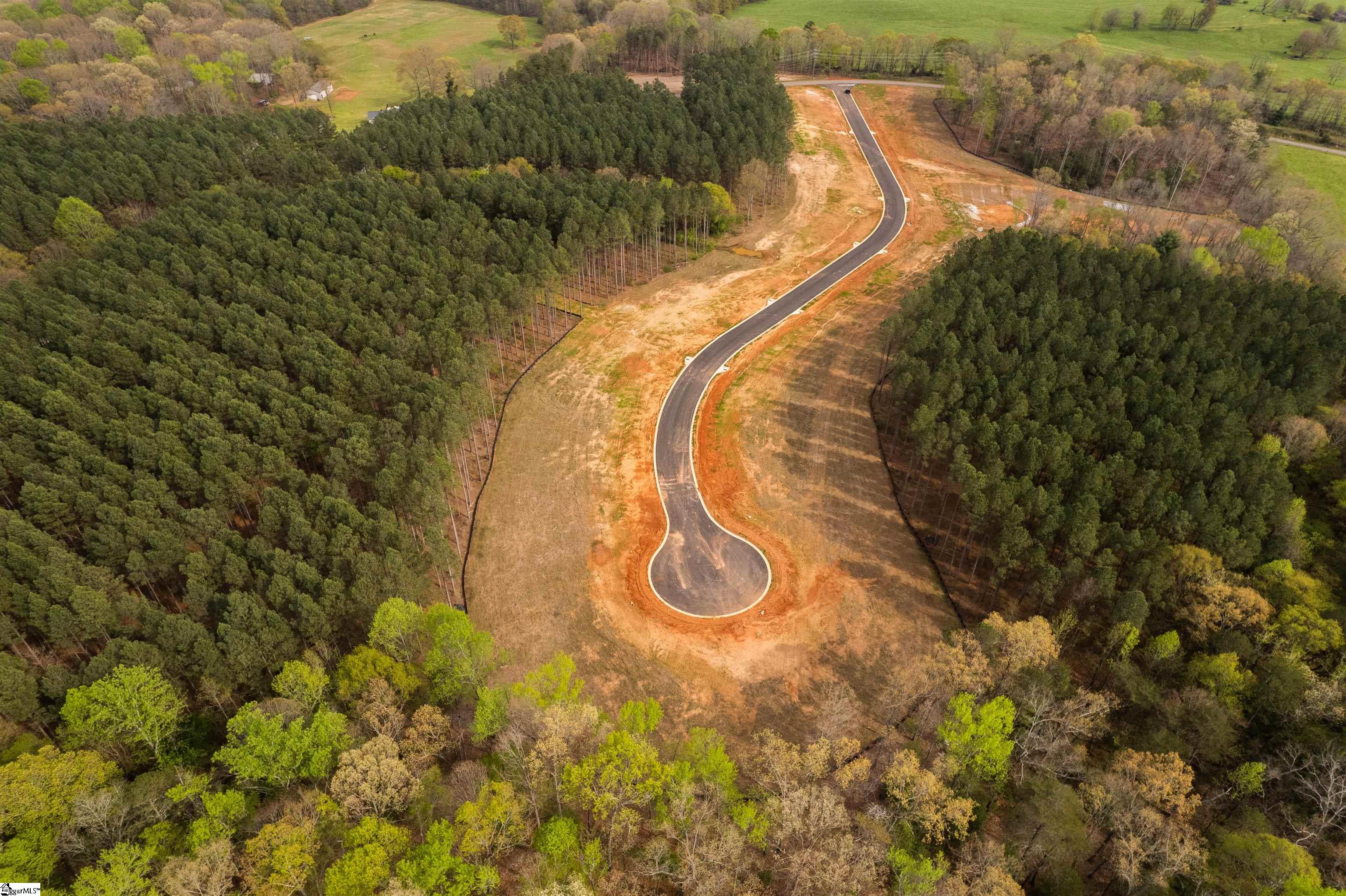 20 Danielsen Way, Unit LOT 8 Greer, SC 29651 - Photo 6 of 13