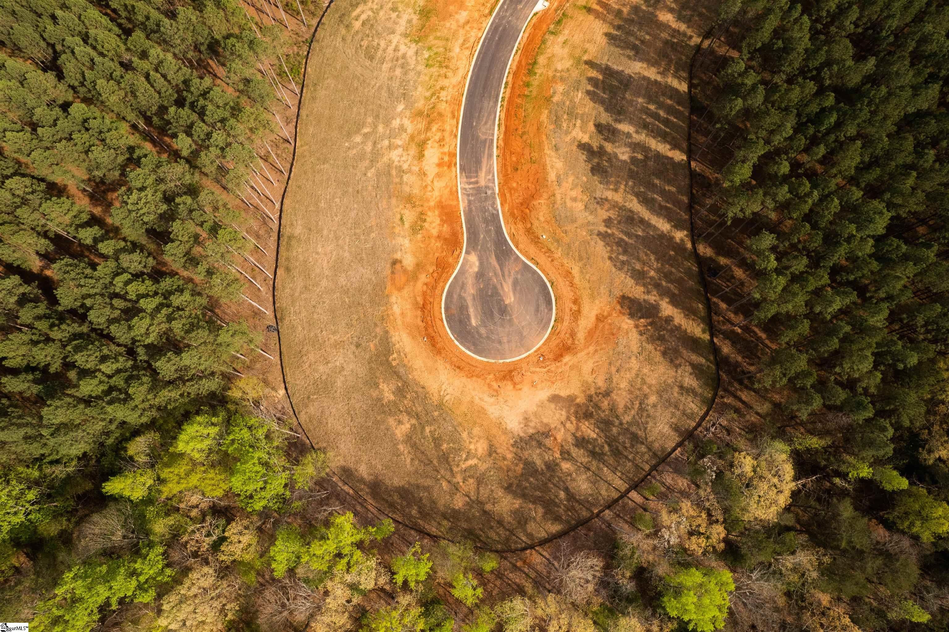 20 Danielsen Way, Unit LOT 8 Greer, SC 29651 - Photo 7 of 13