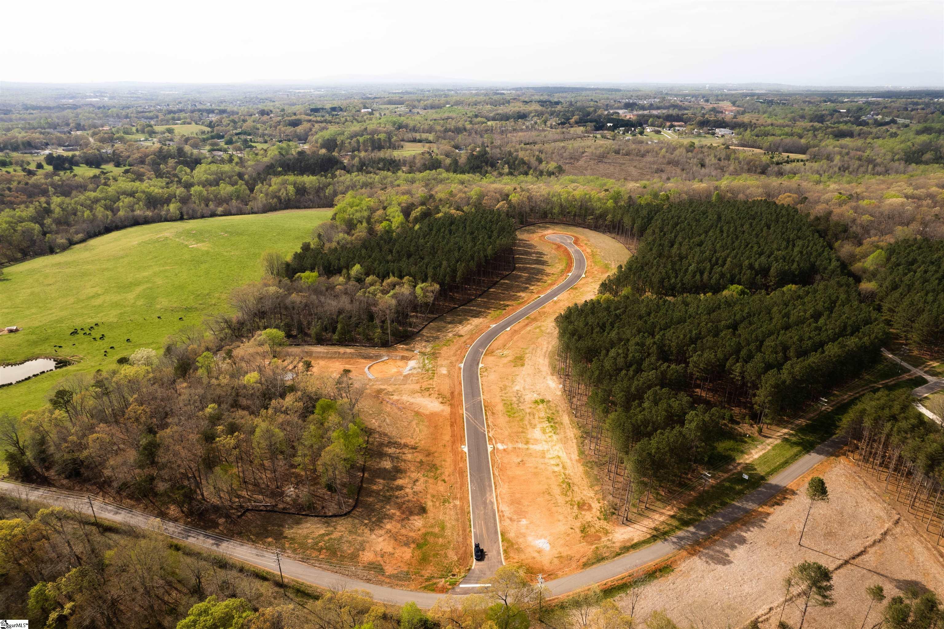 20 Danielsen Way, Unit LOT 8 Greer, SC 29651 - Photo 8 of 13