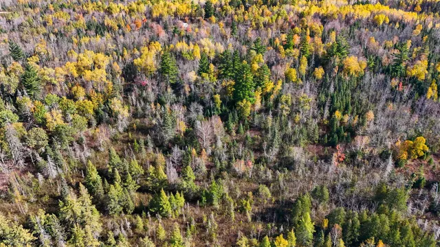 $199,000 | 3451 Drummond Grade, Two Harbors, MN 55616