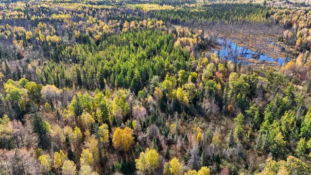 $199,000 | 3451 Drummond Grade, Two Harbors, MN 55616