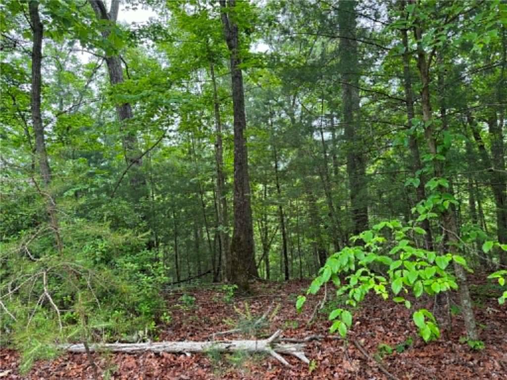 1674 A Hunter Drive Ranger, GA 30734 - Photo 7 of 25 a view of a lush green forest