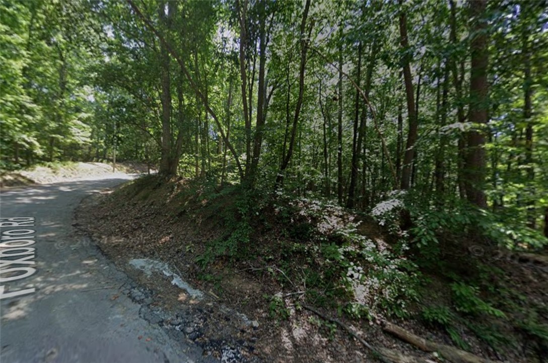 603 Foxboro Road Westminster, SC 29693 - Photo 21 of 22 Mature trees and lush undergrowth define this tranquil, wooded parcel.