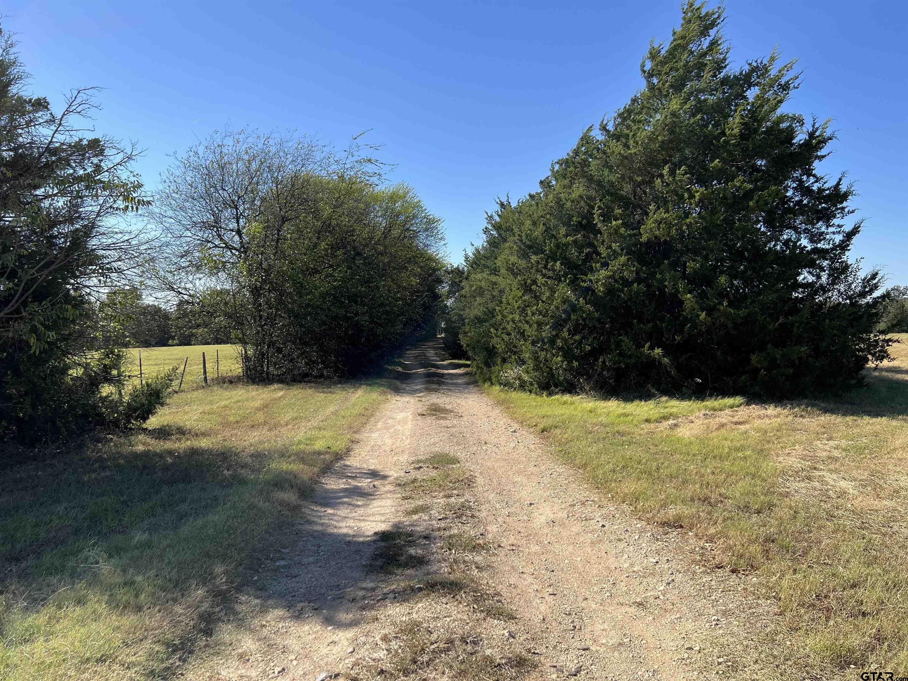 4450 Southwest County Road 3010 Mount Vernon, TX 75457 - Photo 19 of 39 a view of yard
