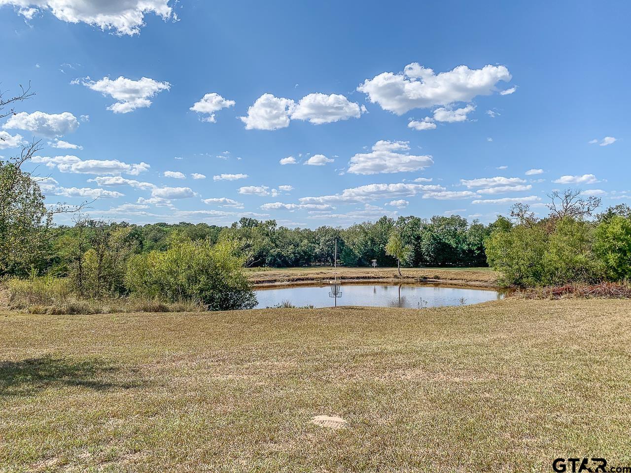 4450 Southwest County Road 3010 Mount Vernon, TX 75457 - Photo 21 of 39 a view of a lake view