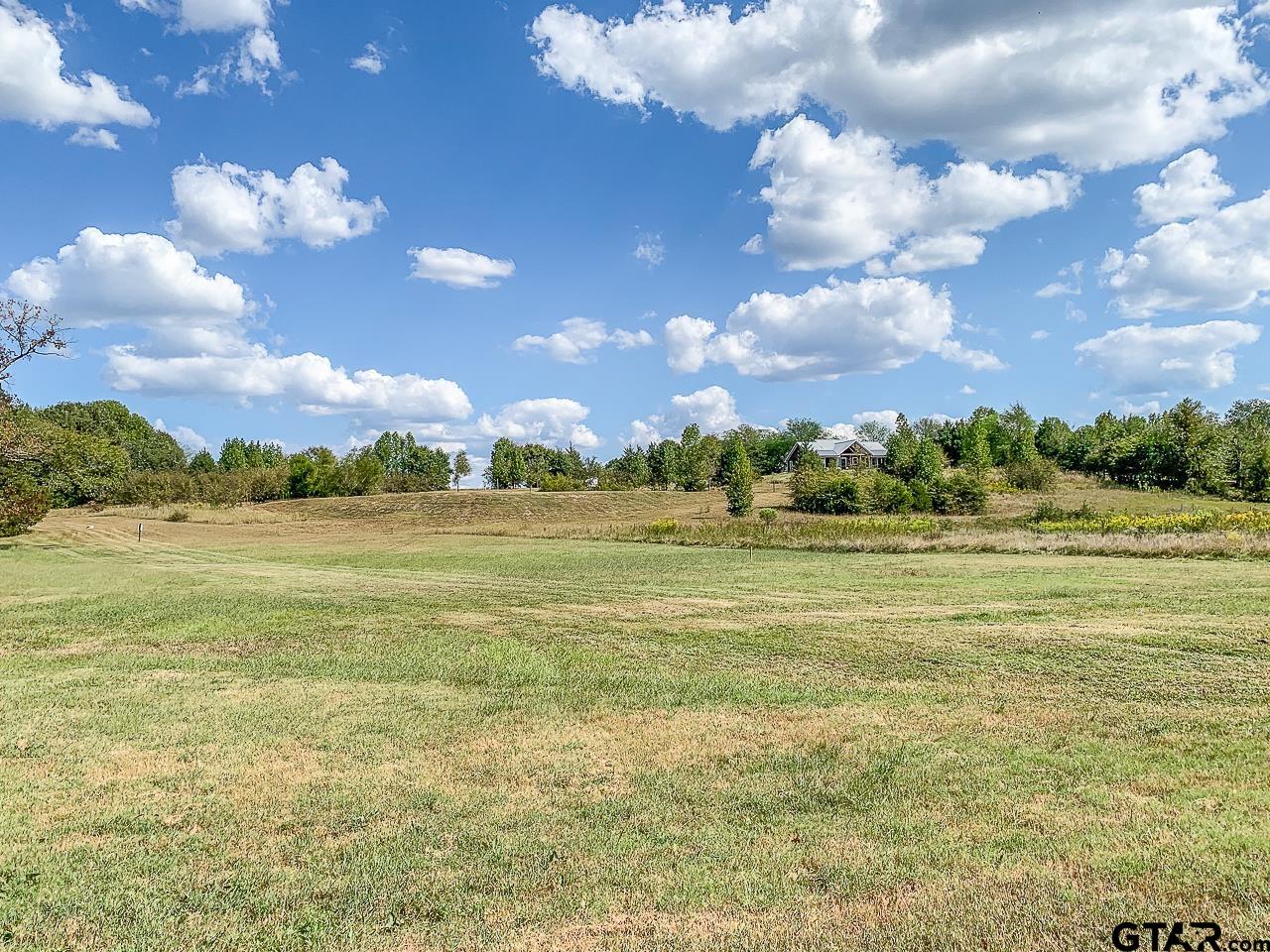 4450 Southwest County Road 3010 Mount Vernon, TX 75457 - Photo 23 of 39 a view of a big yard with lots of green space