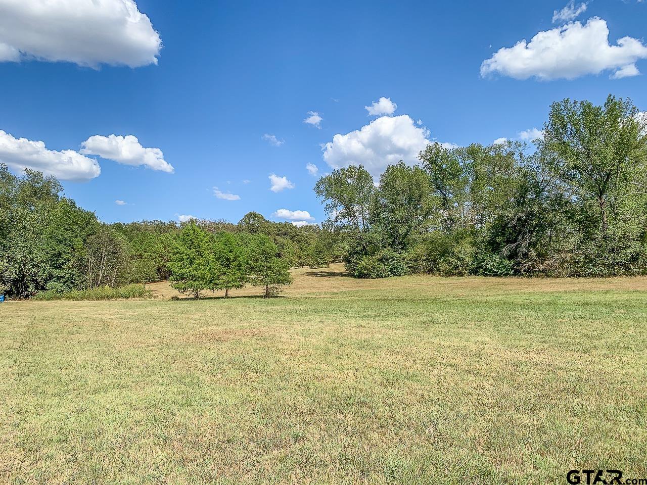 4450 Southwest County Road 3010 Mount Vernon, TX 75457 - Photo 24 of 39 a view of an ocean and a yard