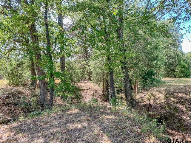 a view of a field with an ocean