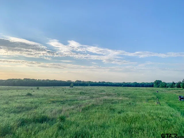 a view of outdoor space and city view