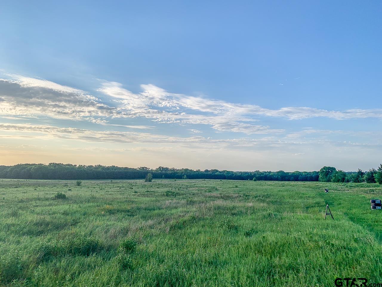 4450 Southwest County Road 3010 Mount Vernon, TX 75457 - Photo 27 of 39 a view of a field with an ocean
