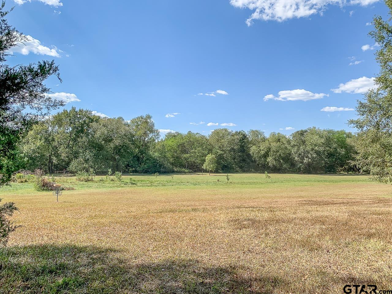 4450 Southwest County Road 3010 Mount Vernon, TX 75457 - Photo 30 of 39 a view of outdoor space and city view