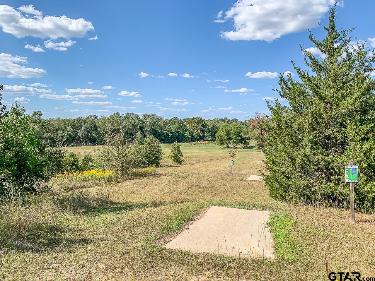 4450 Southwest County Road 3010 Mount Vernon, TX 75457 - Photo 32 of 39 a view of a yard