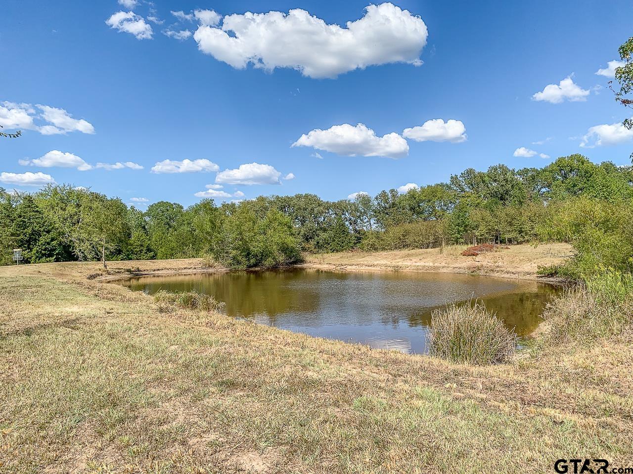 4450 Southwest County Road 3010 Mount Vernon, TX 75457 - Photo 33 of 39 a view of lake