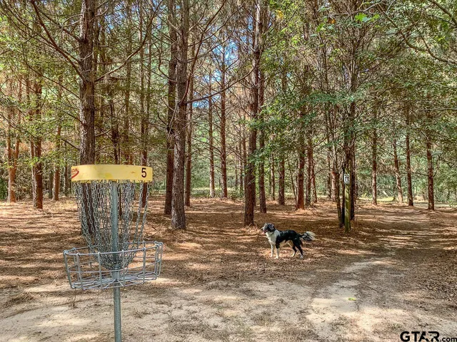 a view of a yard with an trees