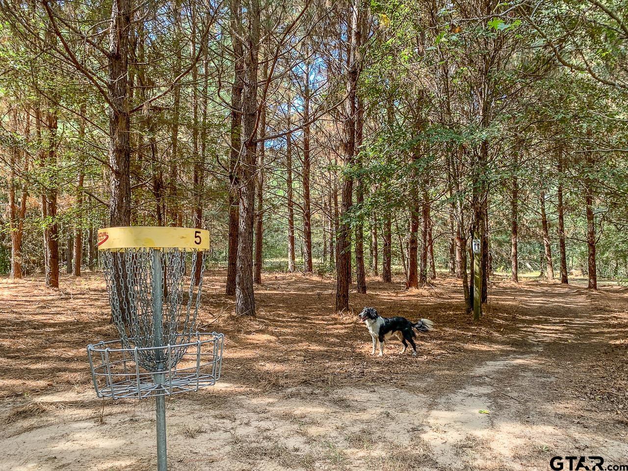 4450 Southwest County Road 3010 Mount Vernon, TX 75457 - Photo 34 of 39 a view of a backyard with table and chairs and wooden fence