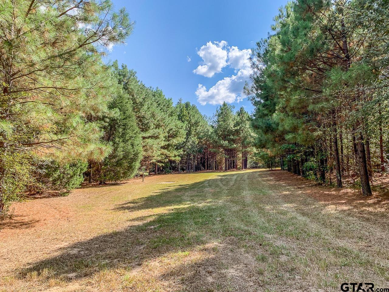 4450 Southwest County Road 3010 Mount Vernon, TX 75457 - Photo 36 of 39 a view of a yard with a tree