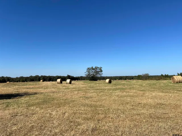 $1,250,000 | 4450 Southwest County Road 3010, Mount Vernon, TX 75457