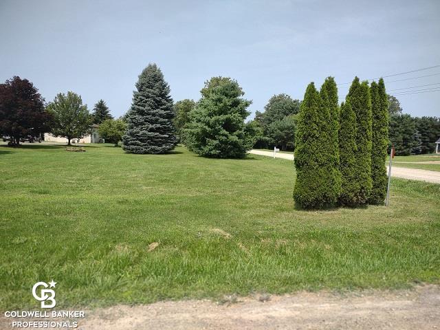 12014 Speaker Road Yale, MI 48097 - Photo 31 of 38 East Lawn View 1