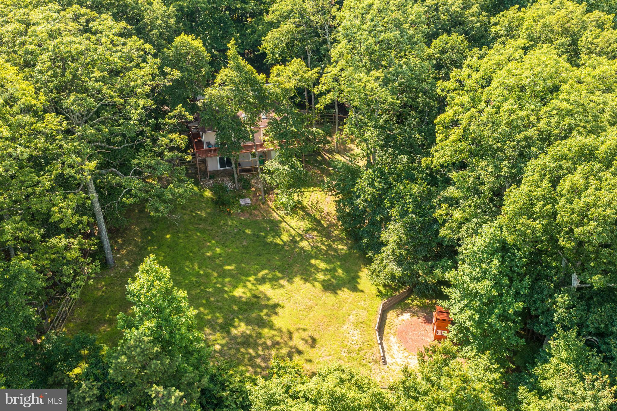 1619 Summit Drive Haymarket, VA 20169 - Photo 54 of 62 a view of a tree