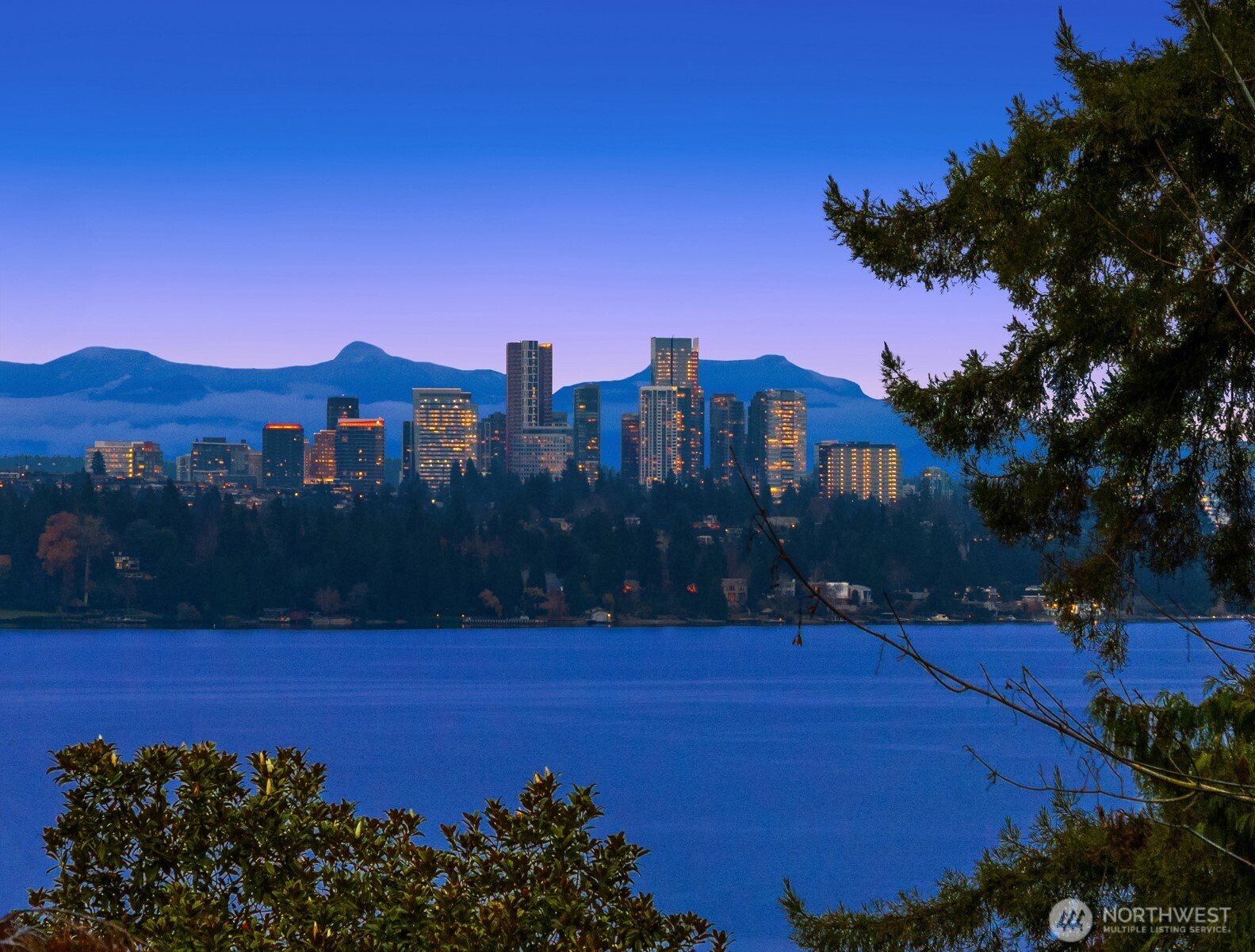 3814 East John Street Seattle, WA 98112 - Photo 27 of 28 a city view with tall trees