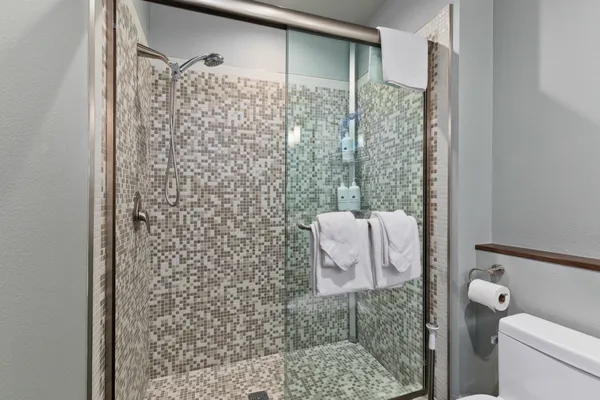 a bathroom with a shower and toilet