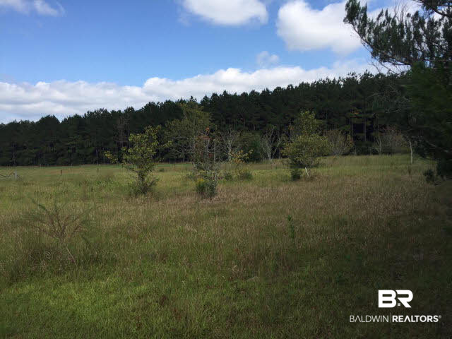 28661 Three Mile Road Elberta, AL 36530 - Photo 11 of 30