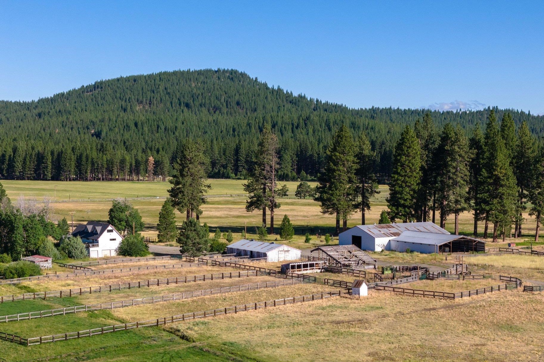 22440 Highway 89 Calpine, CA 96124 - Photo 16 of 27
