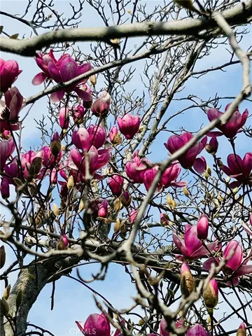 $399,000 | 4906 Shadow Stone Street, Bakersfield, CA 93313