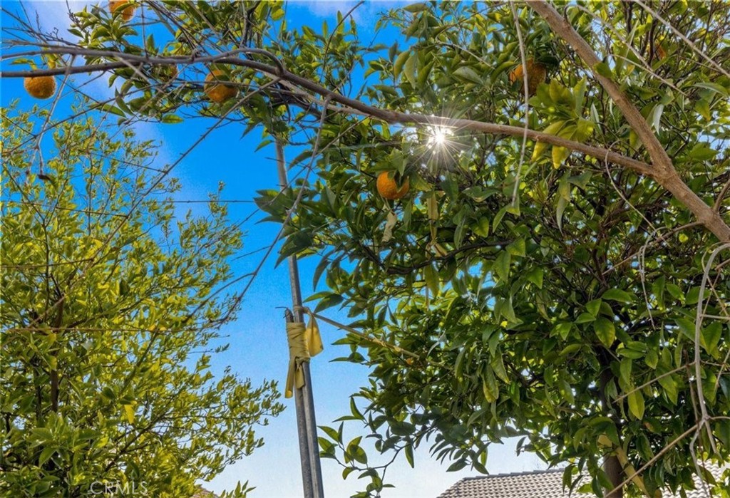 4906 Shadow Stone Street Bakersfield, CA 93313 - Photo 25 of 30