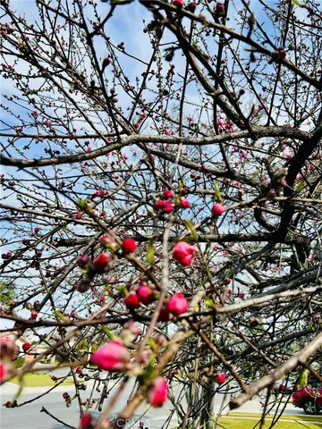 $399,000 | 4906 Shadow Stone Street, Bakersfield, CA 93313