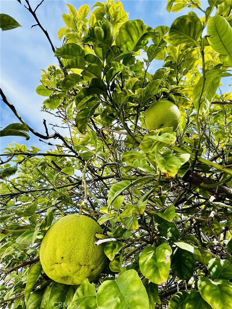 4906 Shadow Stone Street Bakersfield, CA 93313 - Photo 10 of 30