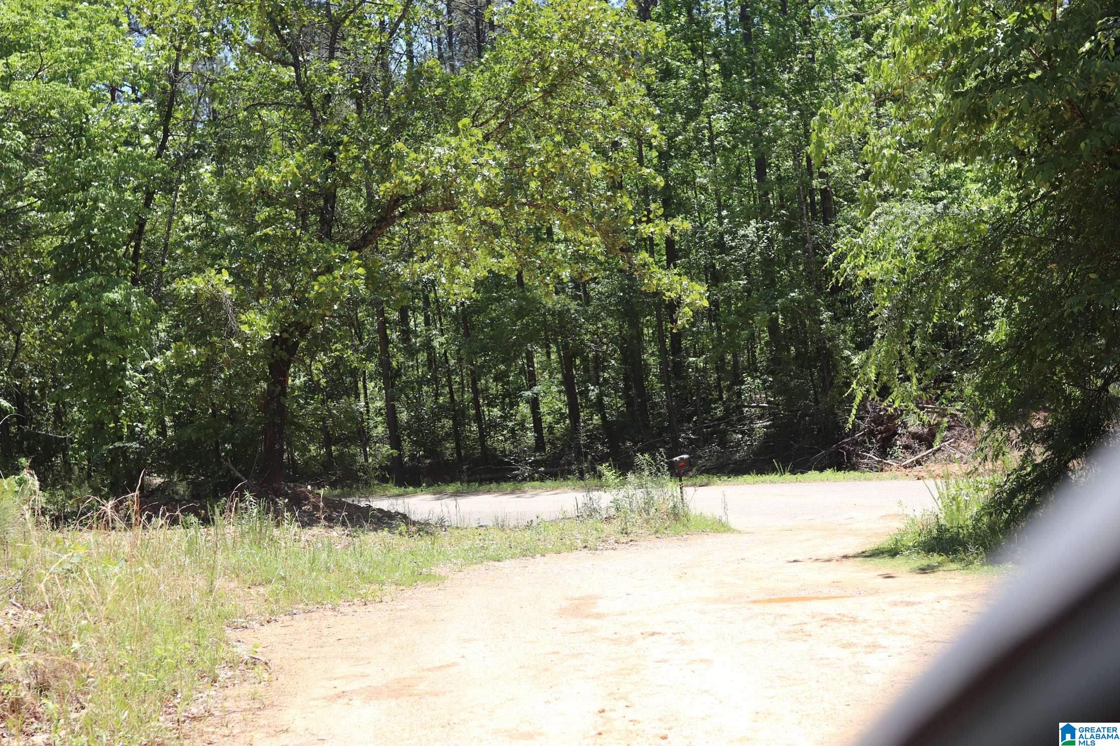 2930 Shocco Springs Road Talladega, AL 35160 - Photo 5 of 93