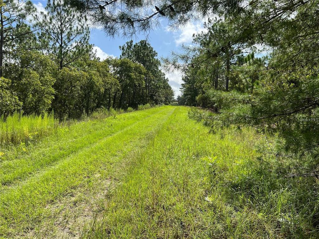 Tbd Southwest 93rd Street Dunnellon, FL 34432 - Photo 2 of 11 a view of a lake with outdoor space