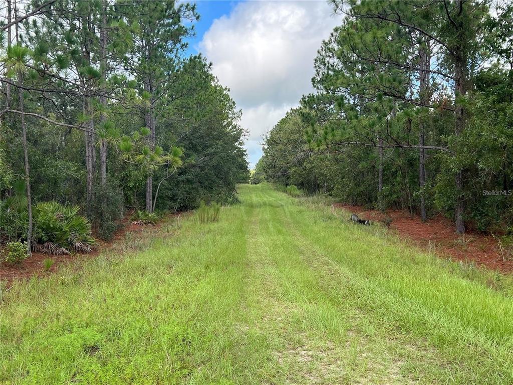 Tbd Southwest 93rd Street Dunnellon, FL 34432 - Photo 6 of 11 a view of a green yard