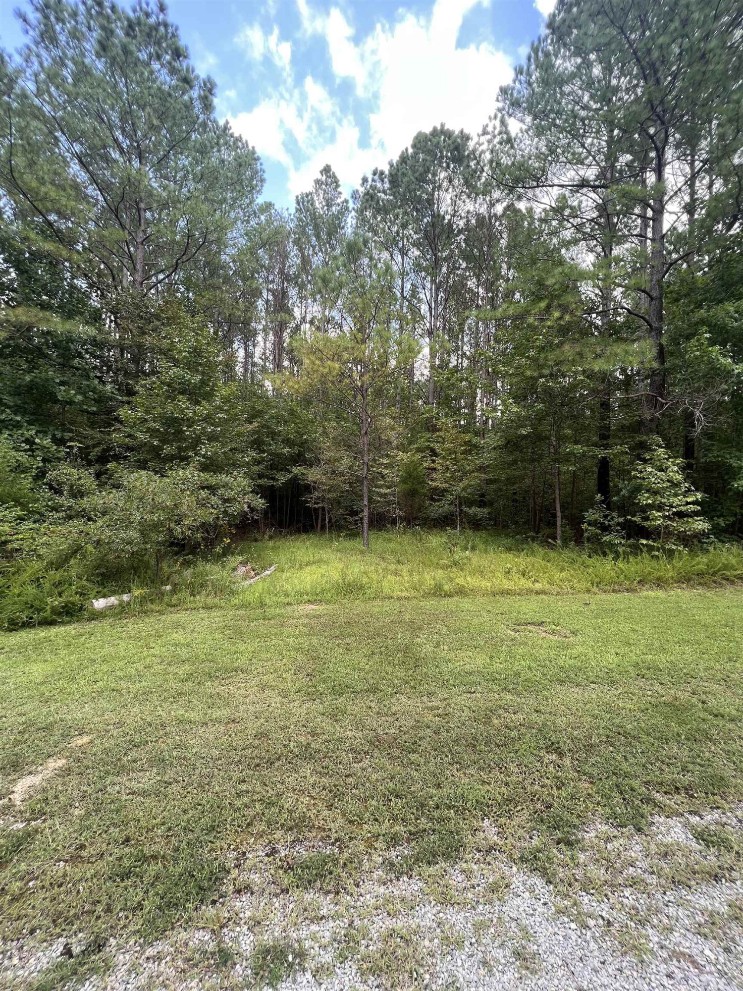 116 Zara Spook Drive Cedar Grove, TN 38321 - Photo 1 of 15 a view of a yard with a tree