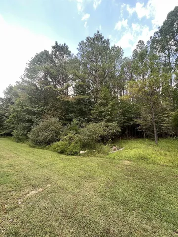 a view of a yard with a trees
