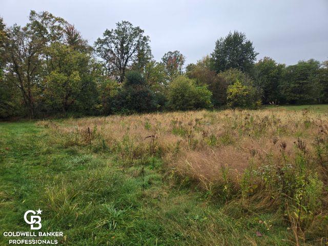 209 South Brockway Road Yale, MI 48097 - Photo 31 of 38