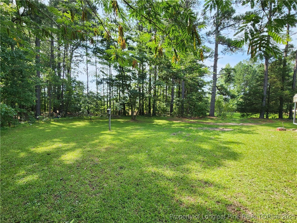 5444 Rockfish Road Raeford, NC 28376 - Photo 36 of 37 a view of a park with large trees