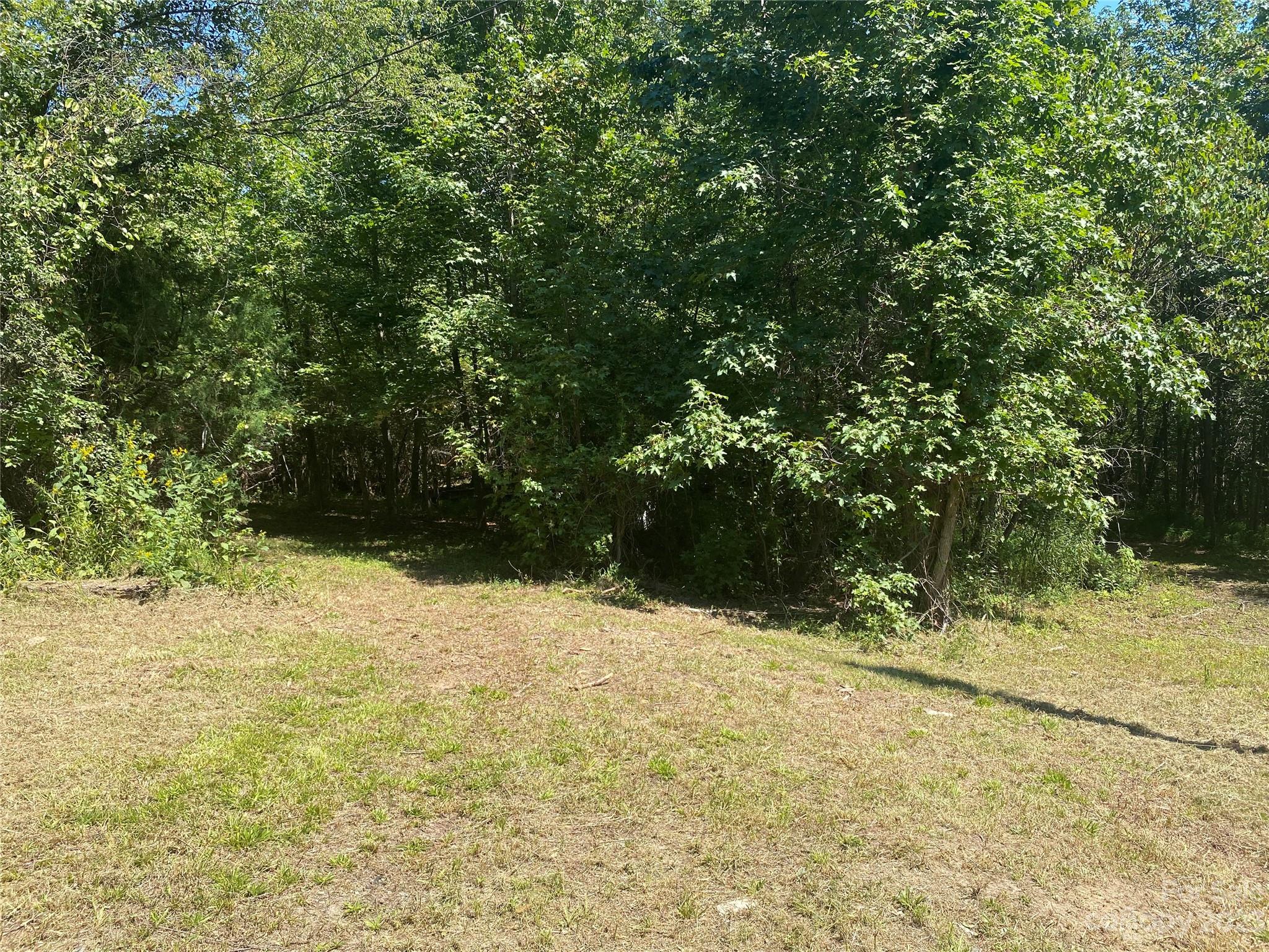 455 Crump Circle Woodleaf, NC 27054 - Photo 6 of 8 a view of a yard with a tree