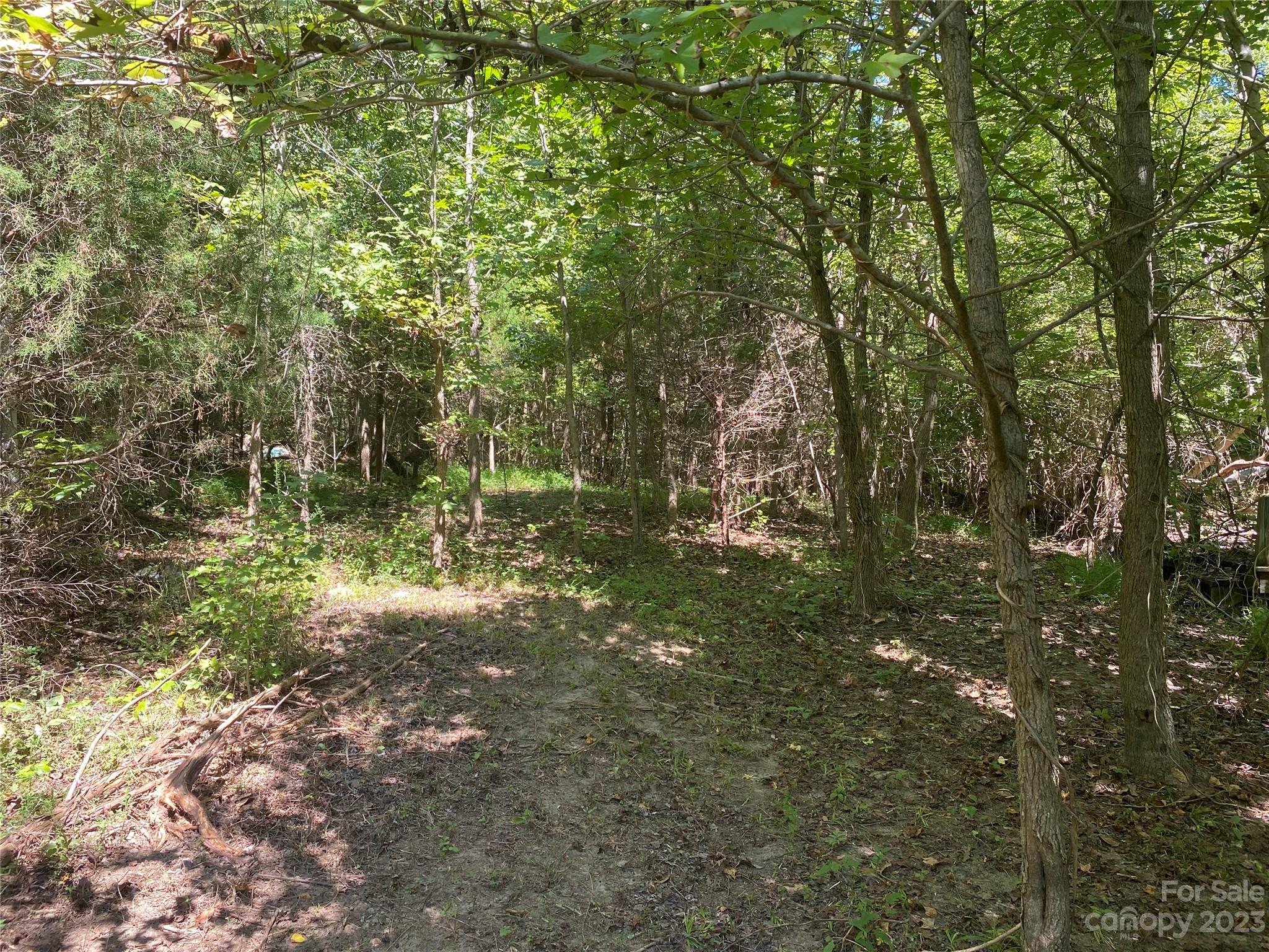 455 Crump Circle Woodleaf, NC 27054 - Photo 7 of 8 a backyard of a house with lots of green space