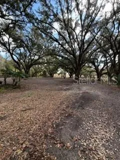 $1,350 | 1906 East Trapnell Road, Plant City, FL 33566