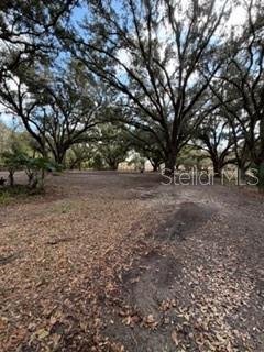 1906 East Trapnell Road Plant City, FL 33566 - Photo 16 of 17